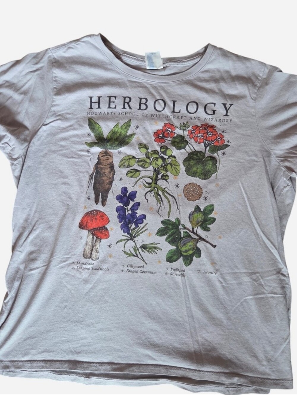 Port and Company Herbology Graphic Tee - Tan with Green and Red Accents
